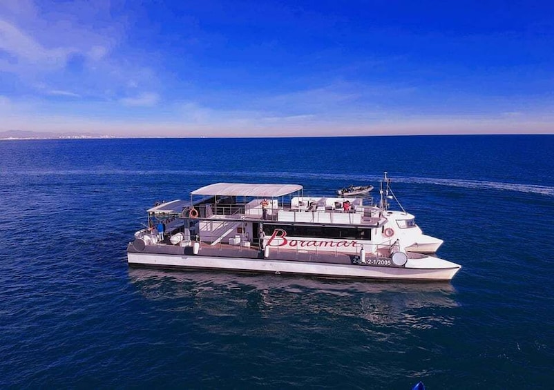 Picture 9 for Activity Valencia: Sunset or Daytime Catamaran Cruise with Drink