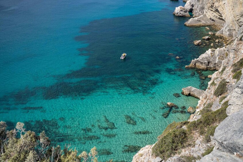 Picture 2 for Activity Arrábida: Boat tour along the heart of Sesimbra