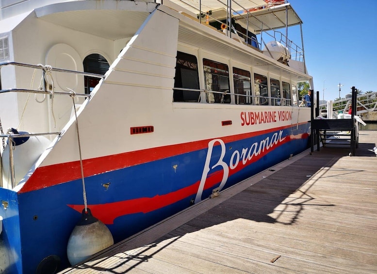 Picture 7 for Activity Valencia: Catamaran Cruise, Paella Lunch and Swim Stop