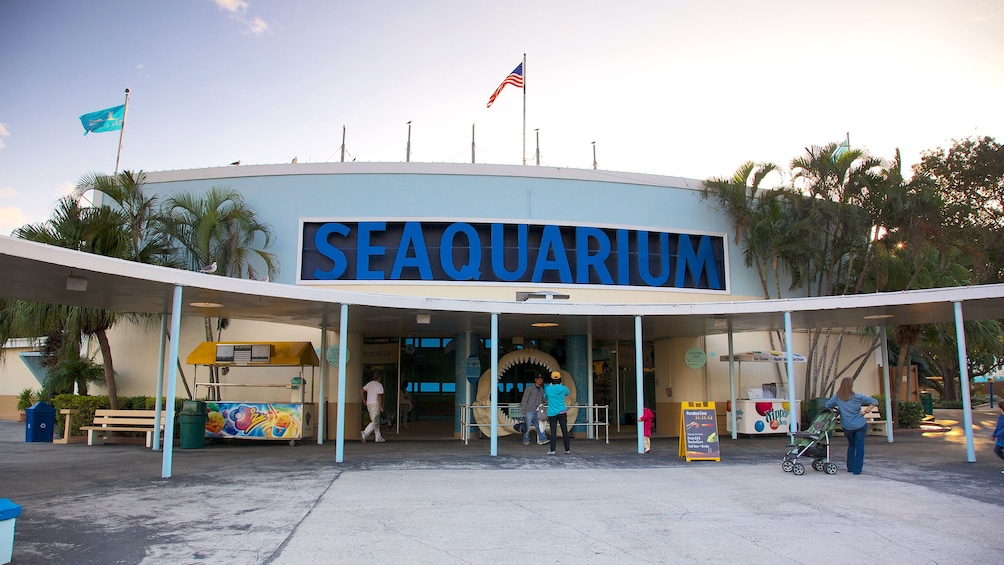 Miami Seaquarium Penguin Encounter