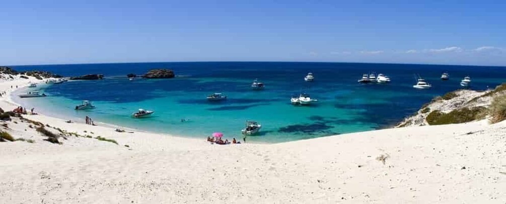 Picture 1 for Activity Rottnest Island Segway 1.5-Hour Fortress Adventure Tour