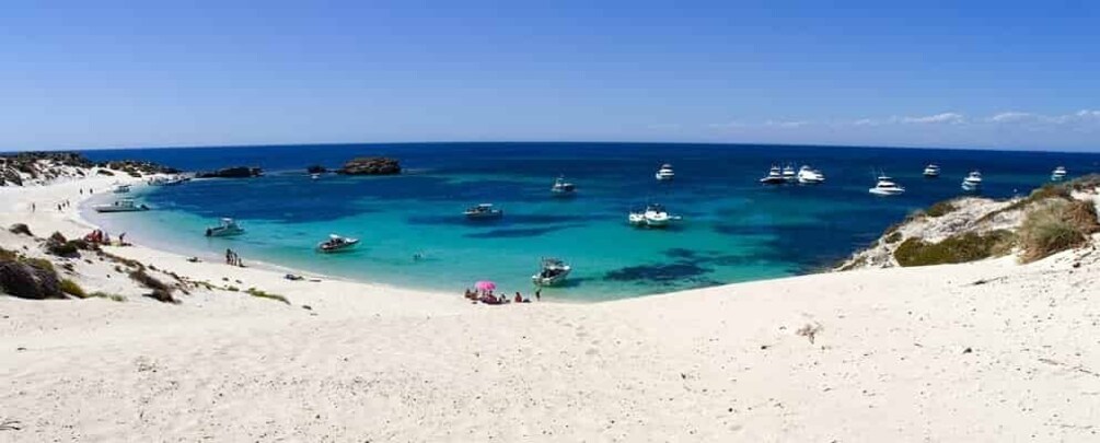 Picture 1 for Activity Rottnest Island Segway 1.5-Hour Fortress Adventure Tour