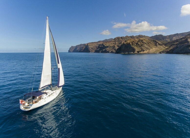 Picture 12 for Activity From Puerto de Mogán: Sailboat Trip with Food and Drinks