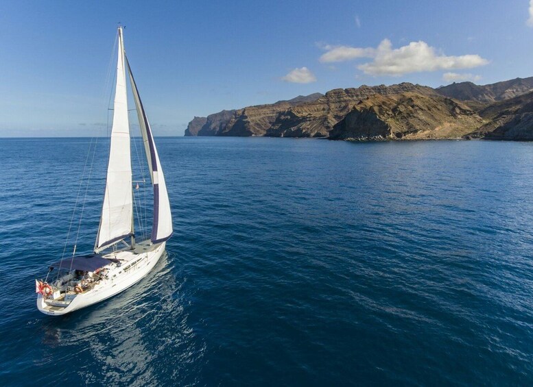 Picture 12 for Activity From Puerto de Mogán: Sailboat Trip with Food and Drinks