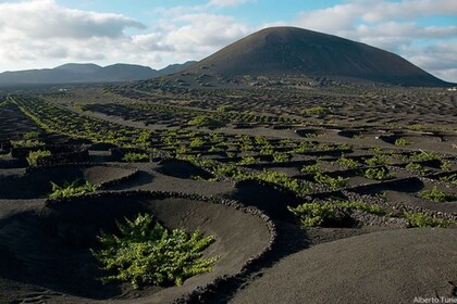 Lanzarote: Heldags busstur med naturskjønn utsikt