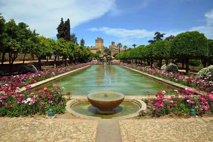 Cordoue : Visite guidée de l'Alcazar et billet coupe-file