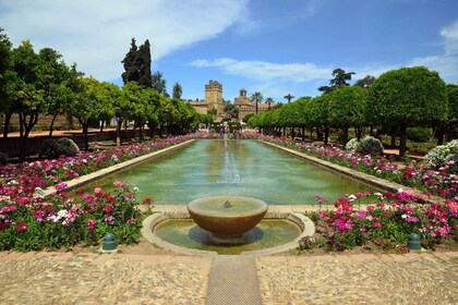 Cordoba: Tour guidato dell'Alcazar e biglietto Skip-the-Line