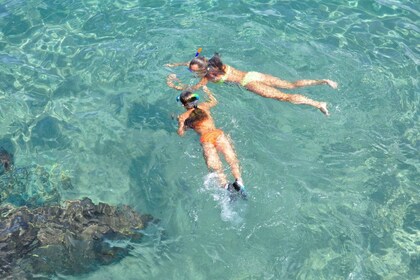 Tenerife: Verhuur van snorkeluitrusting in Radazul