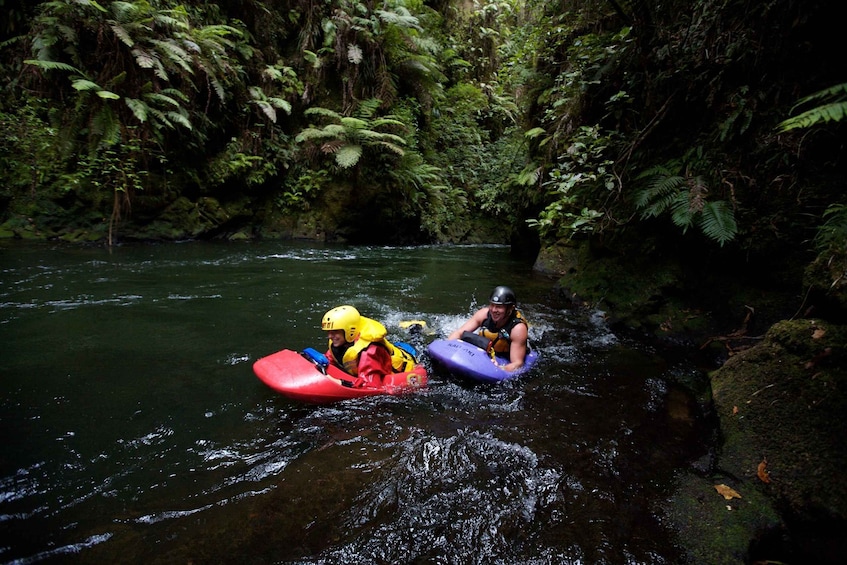 Picture 2 for Activity Kaituna River: 3.5-Hour White Water Sledging Experience