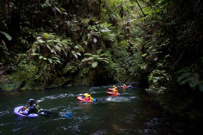 Kaituna-joki: Kaununauna: 3,5-tuntinen White Water Sledging Experience