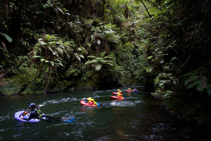 Kaituna River: 3.5-Hour White Water Sledging Experience