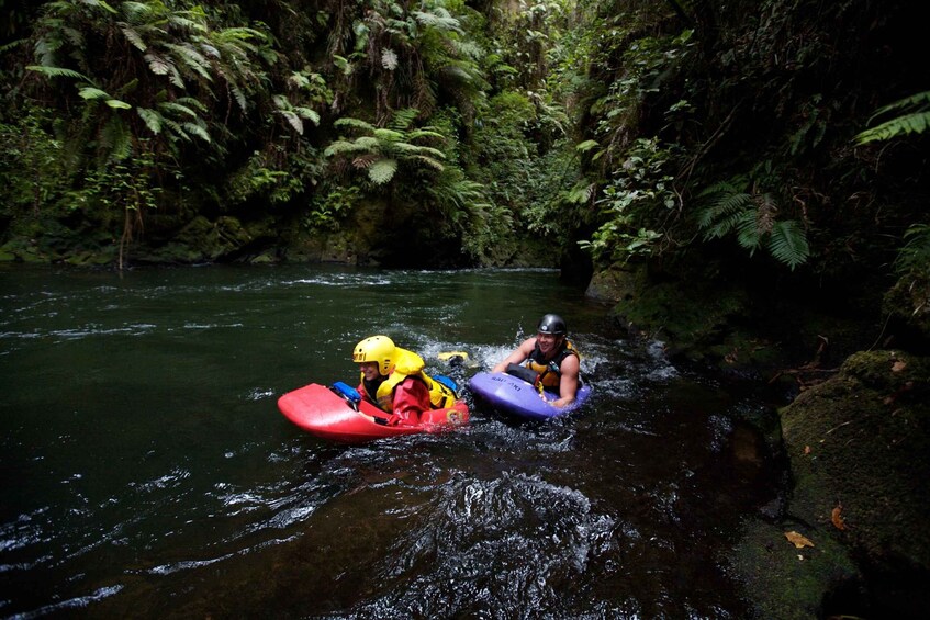 Picture 2 for Activity Kaituna River: 3.5-Hour White Water Sledging Experience