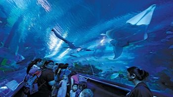 Full-Day Top 10 Highlights, Attractions & Landmarks Tour