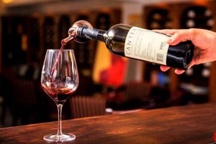 Bucarest : Dégustation de vins au First Wine Bar