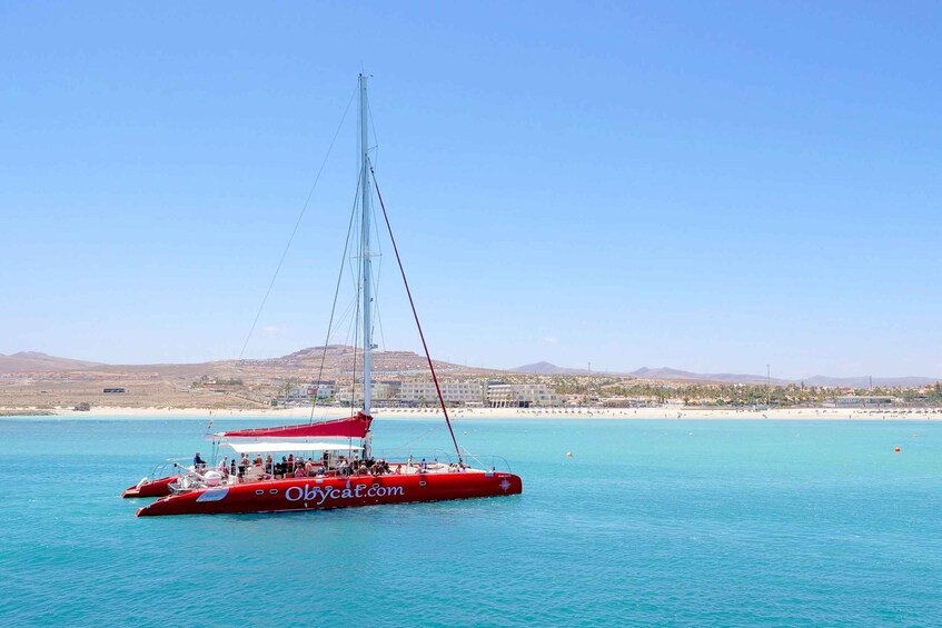 Picture 4 for Activity Caleta de Fuste: Catamaran Sailing Experience