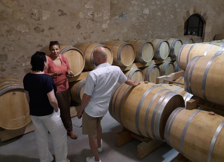 Picture 2 for Activity From Bordeaux: Saint-Emilion Wine Tour in a Sidecar