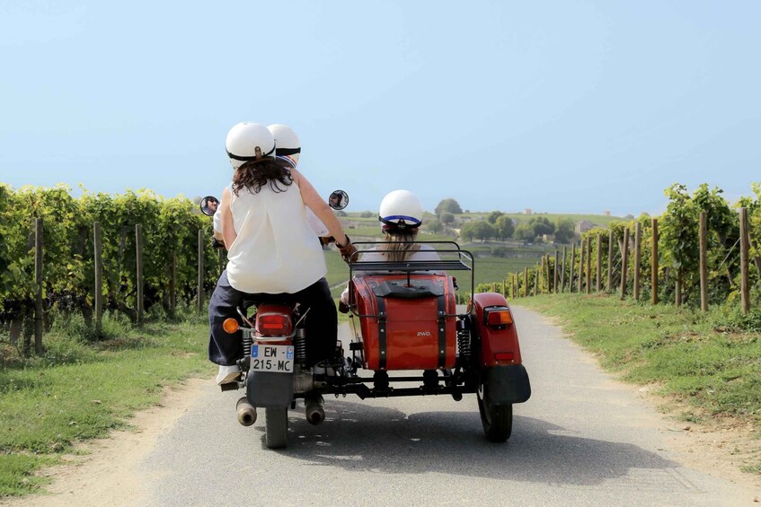 Picture 19 for Activity From Bordeaux: Saint-Emilion Wine Tour in a Sidecar
