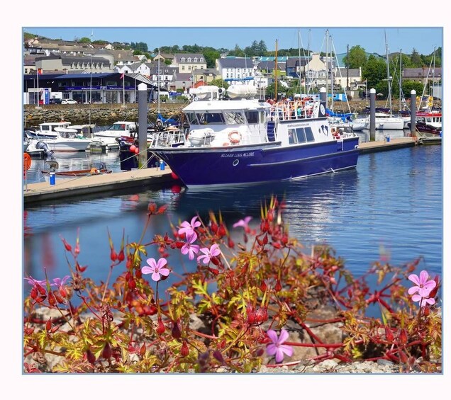 Picture 10 for Activity From Killybegs: Sliabh Liag Cliffs Coastal Boat Tour