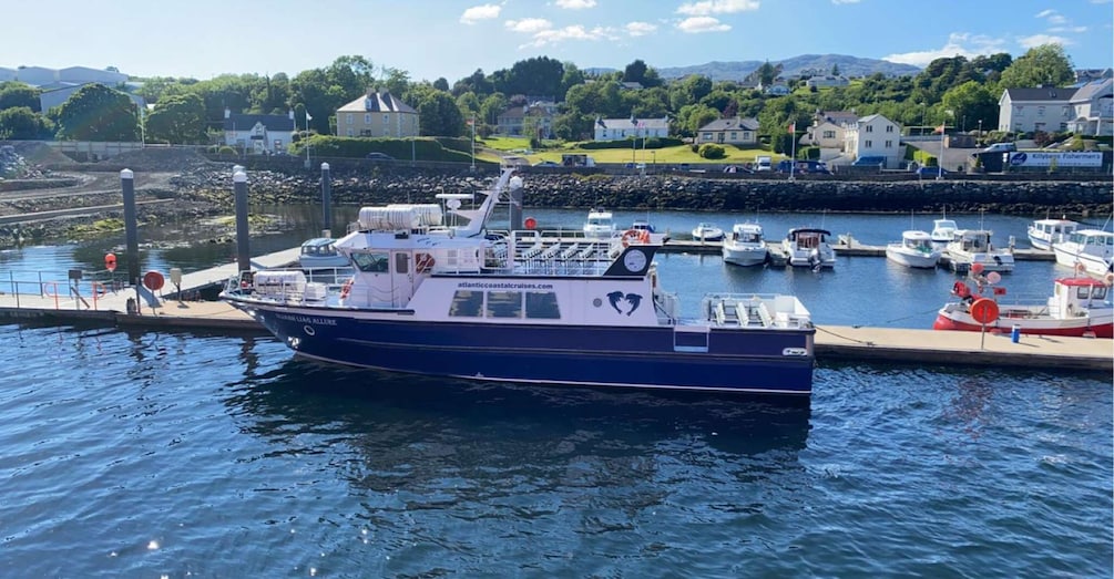 Picture 7 for Activity From Killybegs: Sliabh Liag Cliffs Coastal Boat Tour