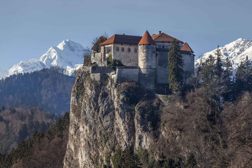 Picture 10 for Activity Ljubljana: Lake Bled & Triglav National Park Full-Day Trip