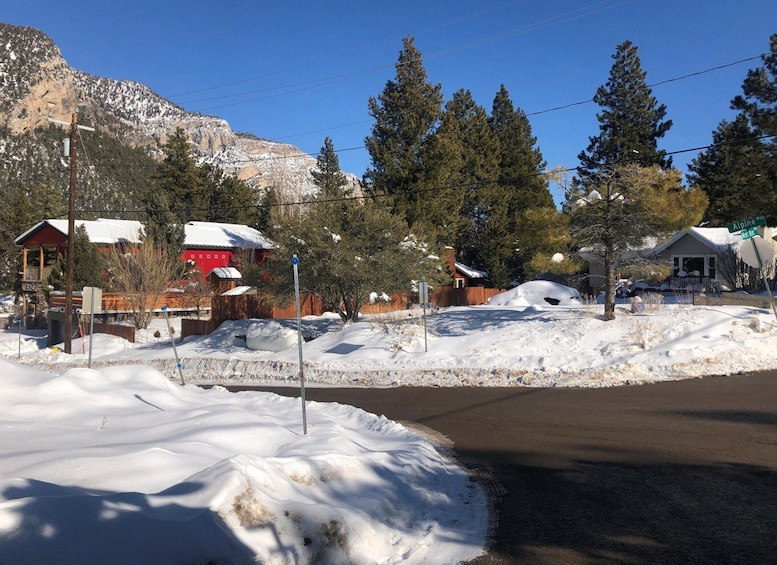 Picture 21 for Activity From Las Vegas: Day Trip to Mount Charleston Resort