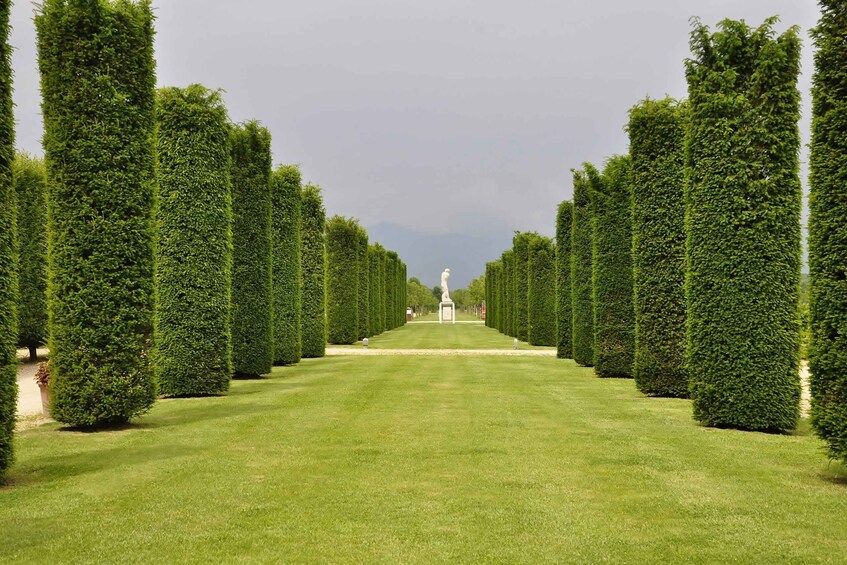 Picture 8 for Activity Turin: Palace of Venaria Guided Tour