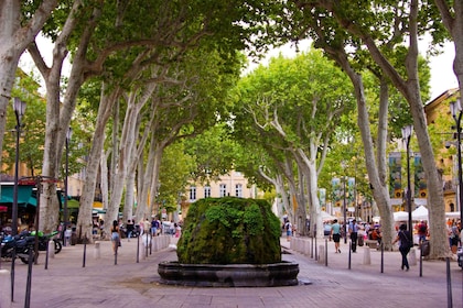 Aix-en-Provence: Halvdagstur på landtur