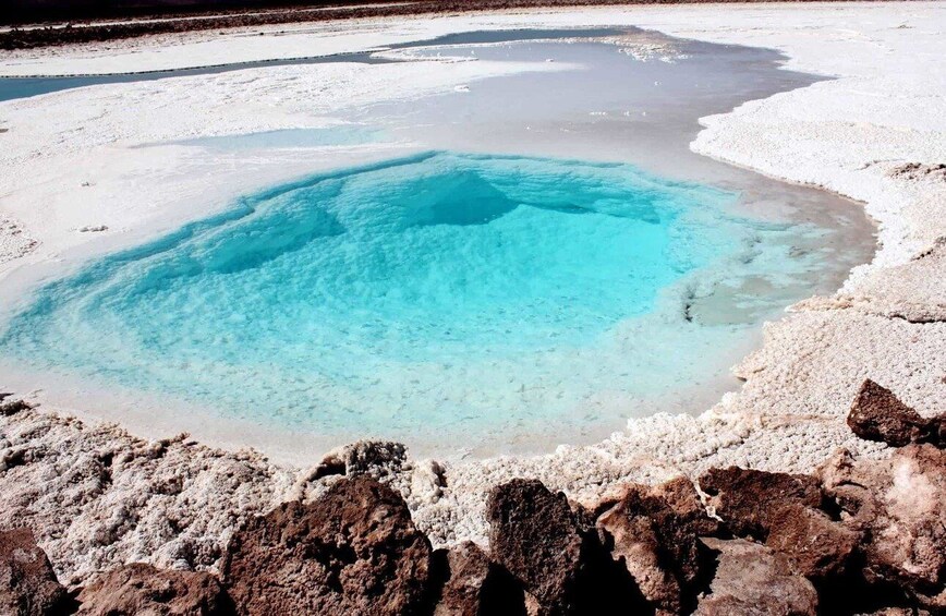 Picture 1 for Activity San Pedro Atacama: Baltinache Lagoons and Magic Bus Tour