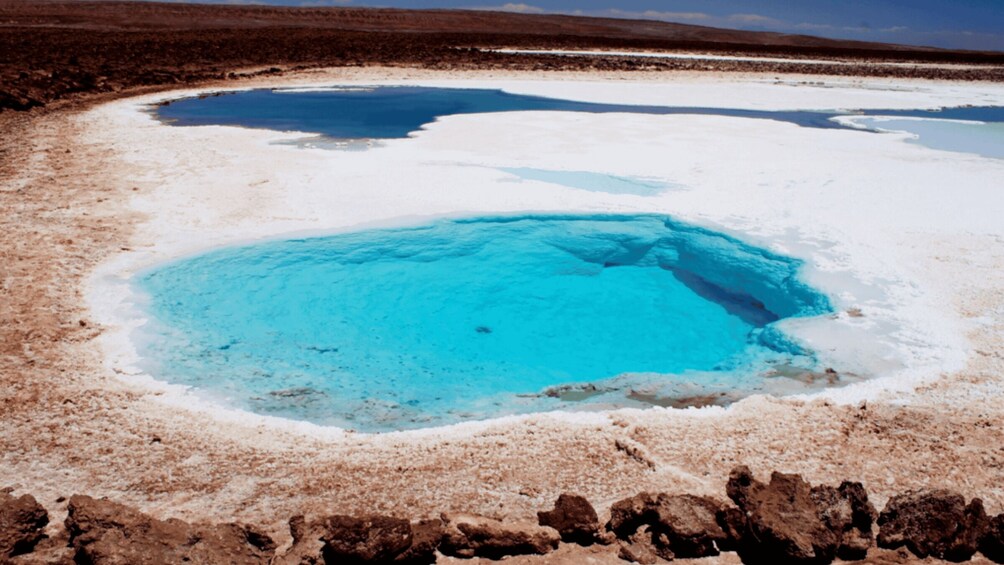 Picture 6 for Activity San Pedro Atacama: Baltinache Lagoons and Magic Bus Tour