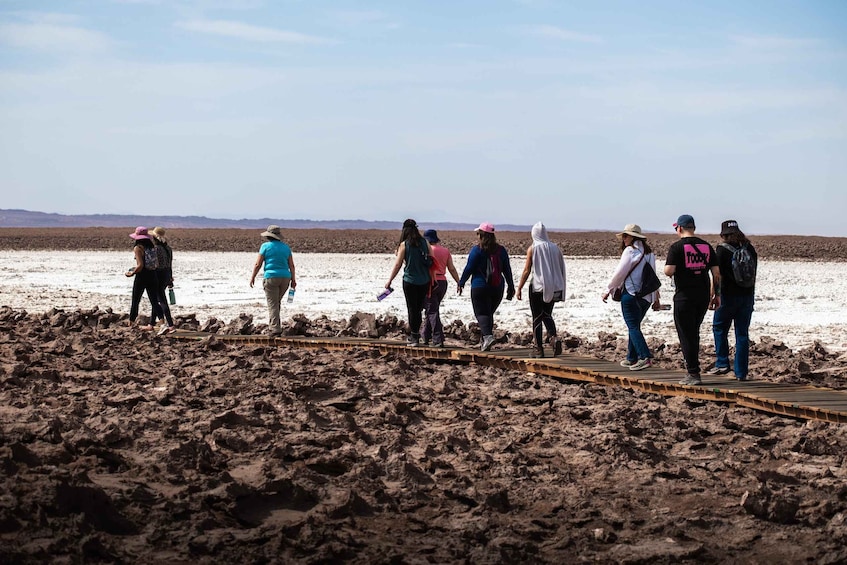 Picture 7 for Activity San Pedro Atacama: Baltinache Lagoons