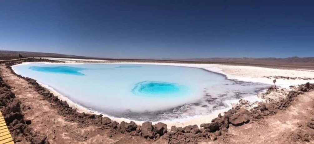 Picture 5 for Activity San Pedro Atacama: Baltinache Lagoons and Magic Bus Tour