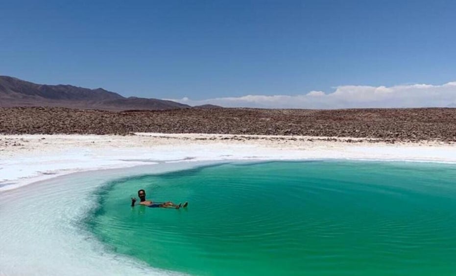 Picture 5 for Activity San Pedro de Atacama: Hidden Lagoons of Baltinache
