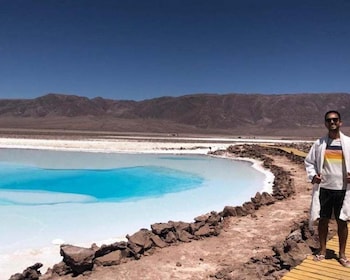 San Pedro Atacama : Lagunes de Baltinache et visite en bus magique