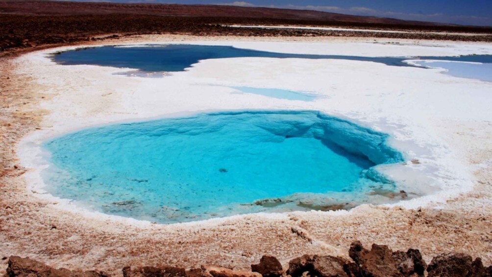 Picture 6 for Activity San Pedro Atacama: Baltinache Lagoons and Magic Bus Tour