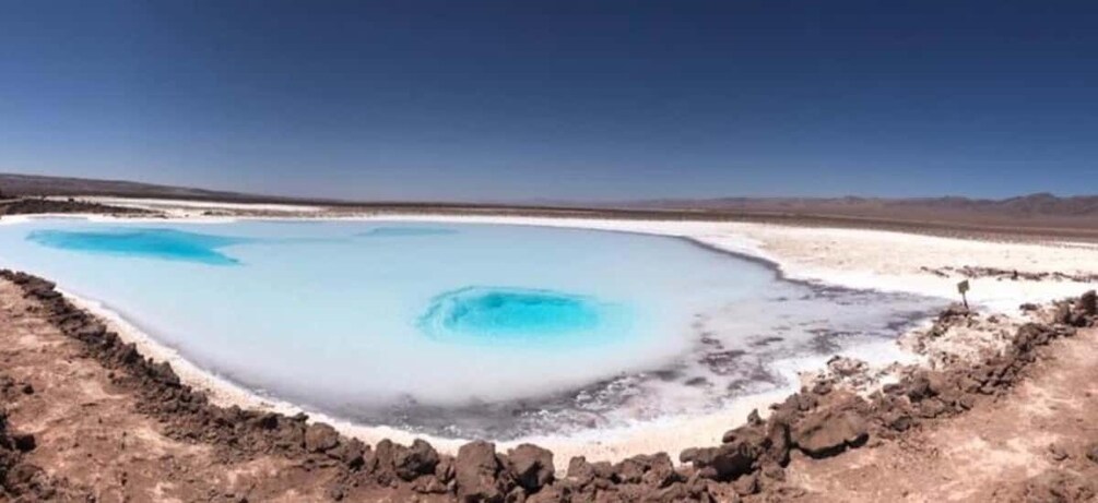 Picture 5 for Activity San Pedro Atacama: Baltinache Lagoons and Magic Bus Tour