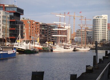 Haven van Hamburg: Rondleiding van 3,5 uur met de fiets