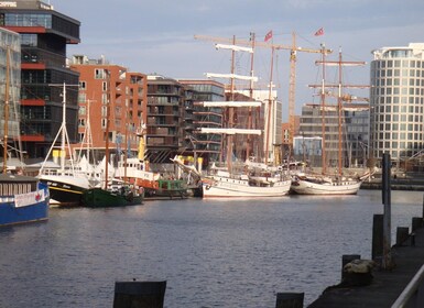 Haven van Hamburg: Rondleiding van 3,5 uur met de fiets