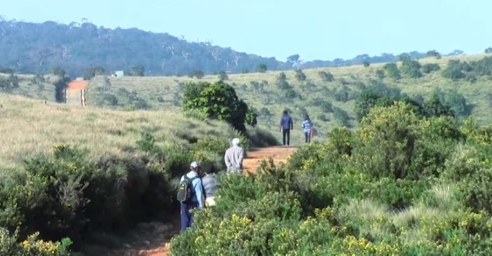 Picture 6 for Activity From Bentota: Wonders of Hill Country Exploration Tour