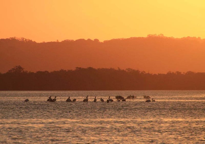 Picture 14 for Activity Byron Bay: Scenic Sunset River Cruise