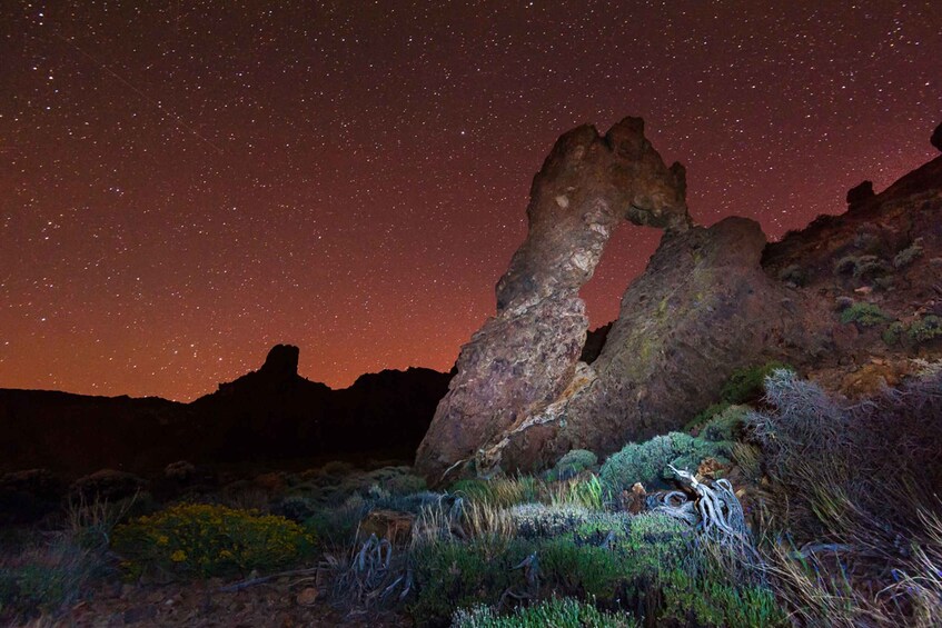 Picture 23 for Activity Teide Night Experience with Dinner and Stargazing