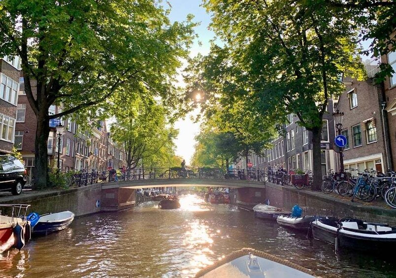 Picture 6 for Activity Amsterdam: Canal Cruise in German with Unlimited Drinks