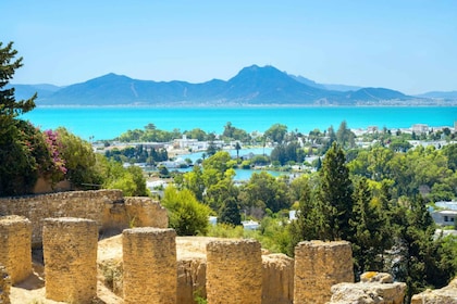 Tunis: Full-Day Sightseeing Tour with Lunch