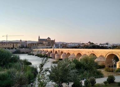 Tour a piedi dei punti salienti di Córdoba