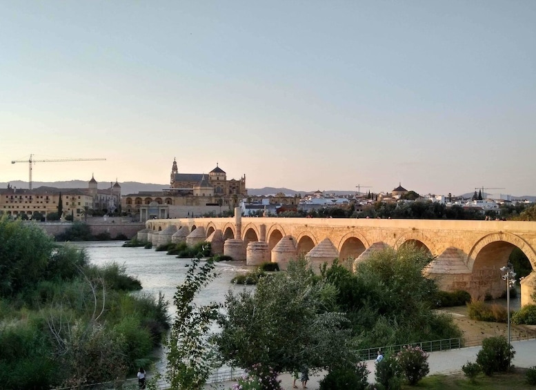 Córdoba Highlights Walking Tour