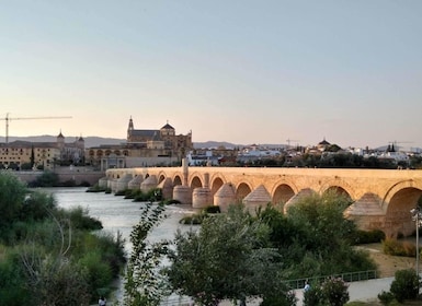 Tour a pie por lo más destacado de Córdoba