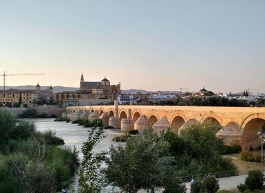 Córdoba Highlights Walking Tour