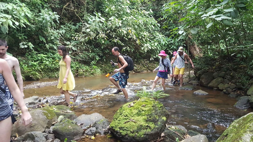 Picture 4 for Activity From San Jose: Full-Day Jaco Beach Canyoning and Canopy Tour
