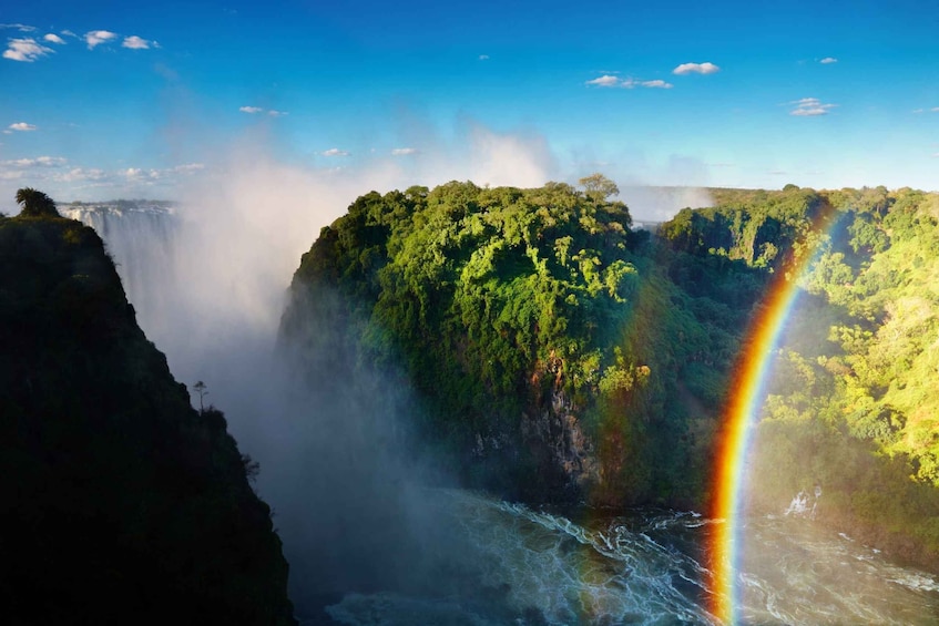 Picture 6 for Activity Victoria Falls: Private Guided Tour of the Falls