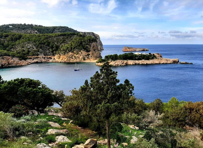 Picture 10 for Activity Puerto de San Miguel: Can Marçá Cave Guided Tour with Entry