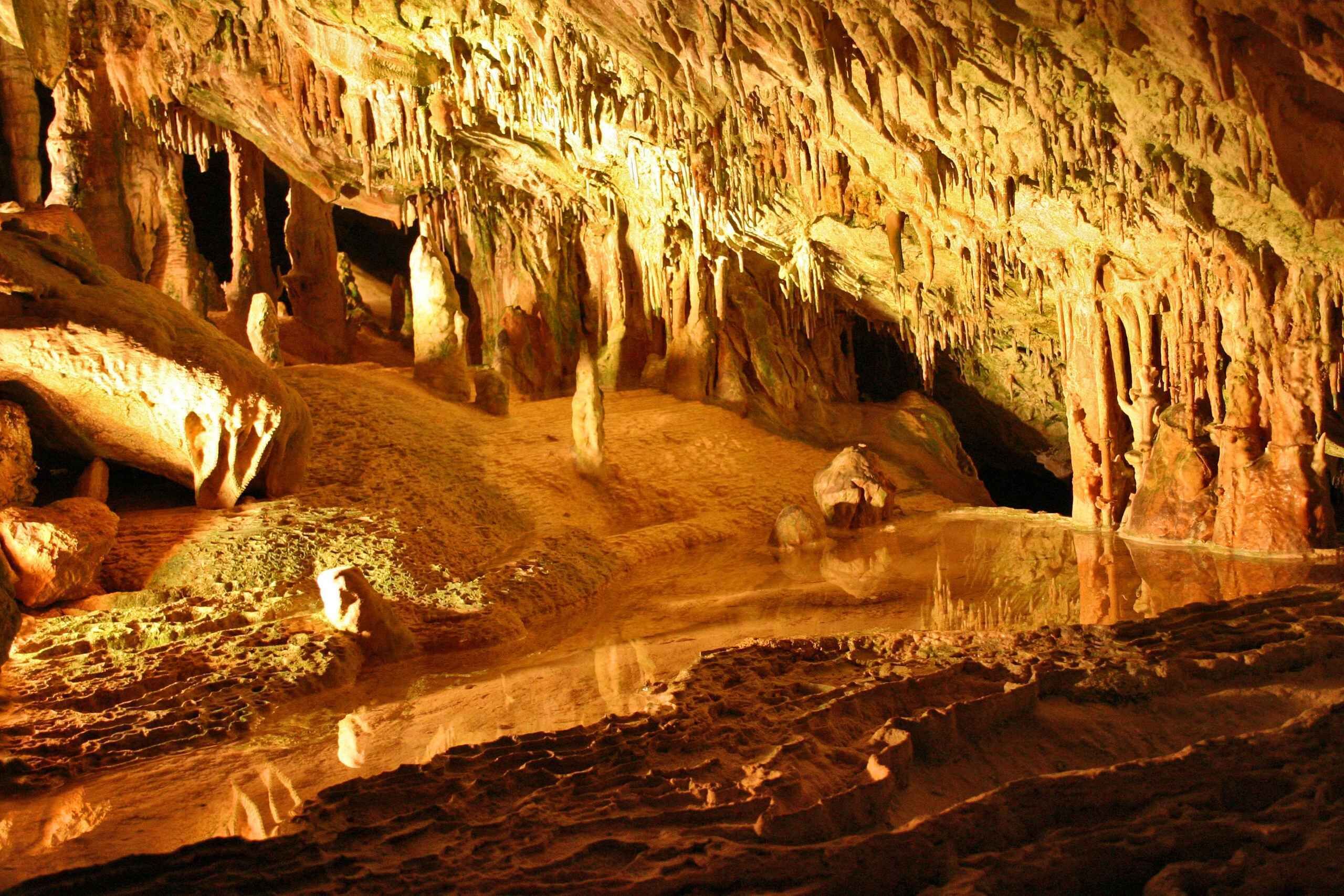Puerto de San Miguel: Can Marçá Cave Guided Tour with Entry